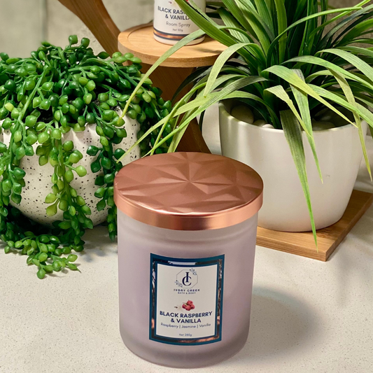 Black Raspberry & Vanilla - Candle (Large)