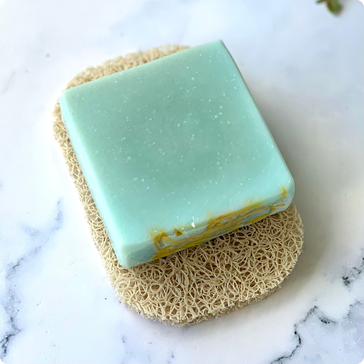 Oakmoss & Amber Soap